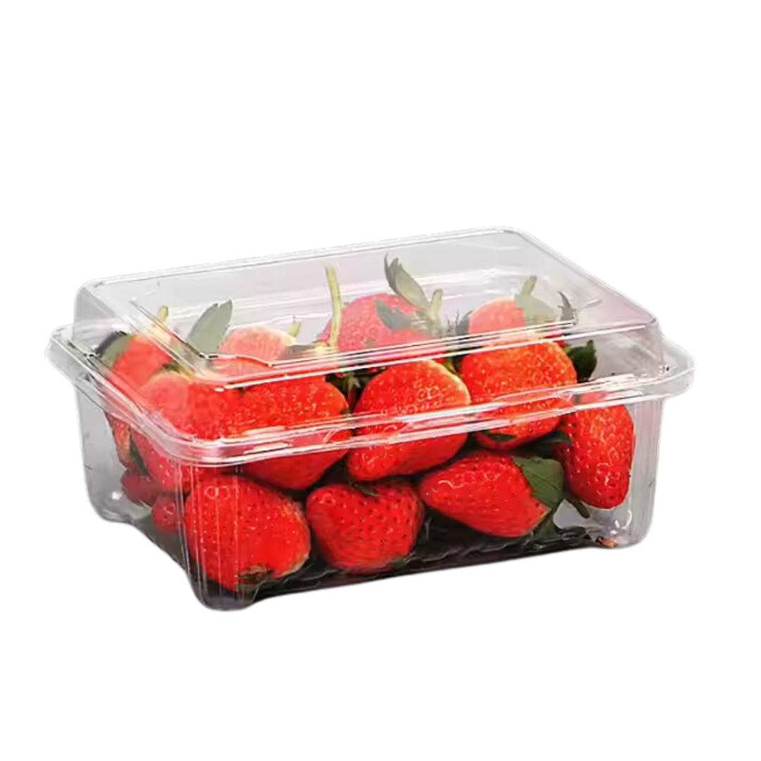 3000CC (G13) HINGED PET PLASTIC CONTAINERS 200s