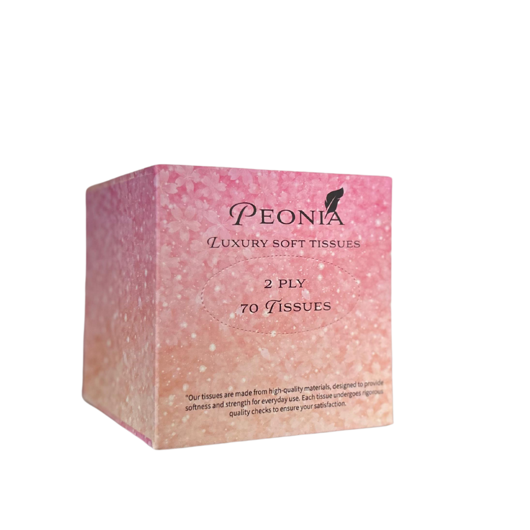 CUBE BOX TISSUE 70 SHEETS 2PLY