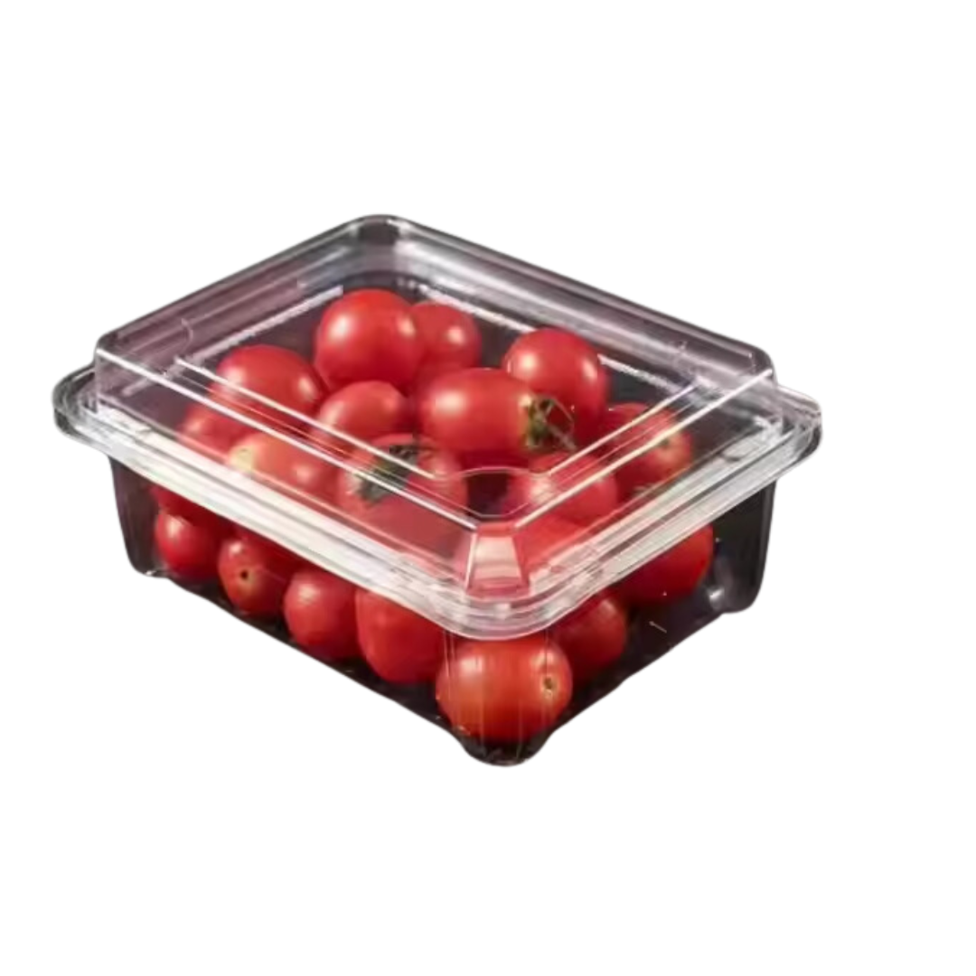 4000CC (G15) HINGED PET PLASTIC CONTAINERS 100s