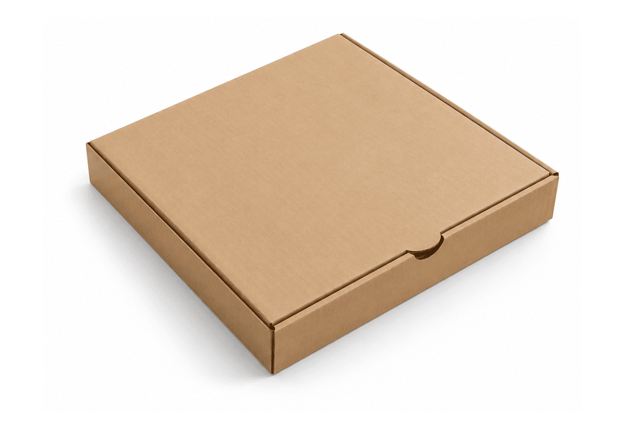 Plain Brown Pizza Box (10”)