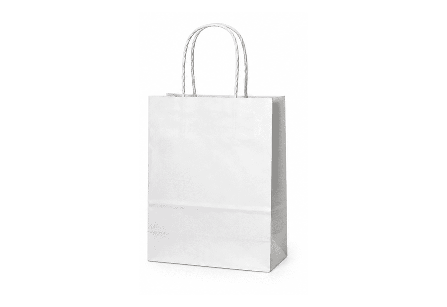 White Twisted Handle Kraft Bag (300 × 320 × 180 mm)