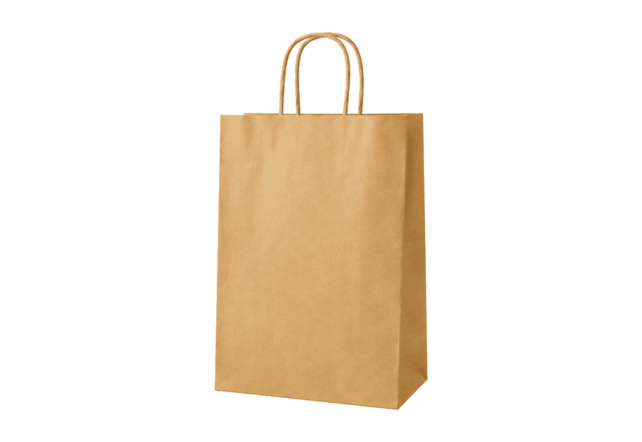 Brown Twisted Handle Kraft Bag (300 × 320 × 180 mm)