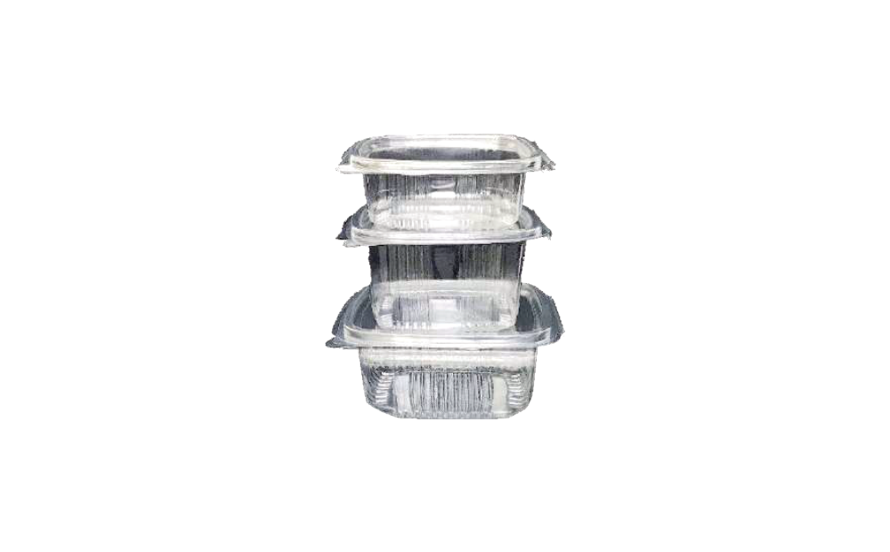 Hinged Transparent Container (1000cc)