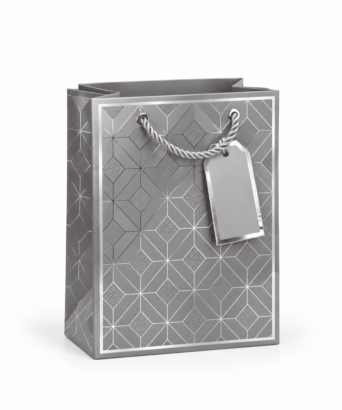 Small Gift Bag - Silver