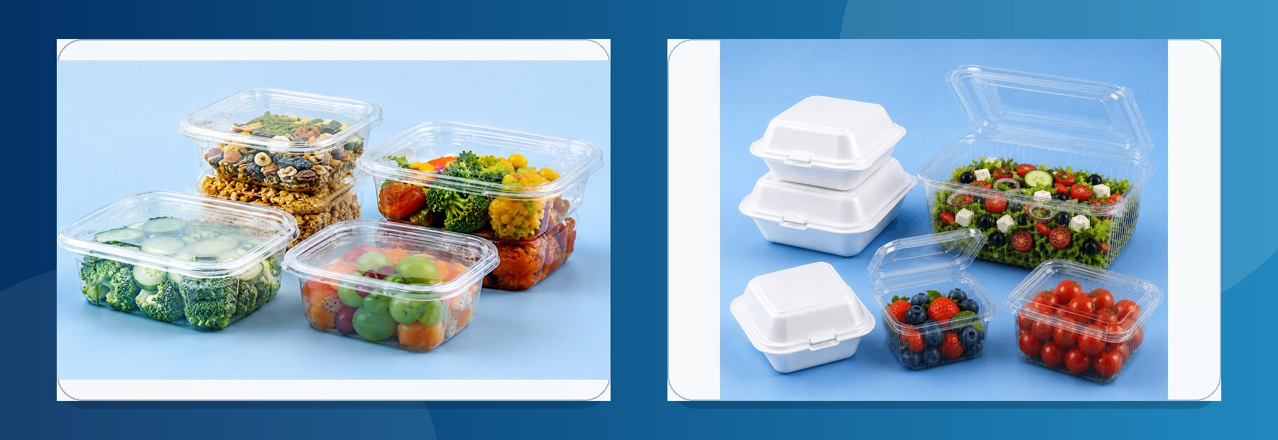 Waves microwave and hinged container range